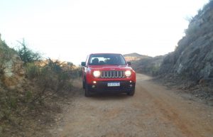 Jeep Renegade Sport Plus